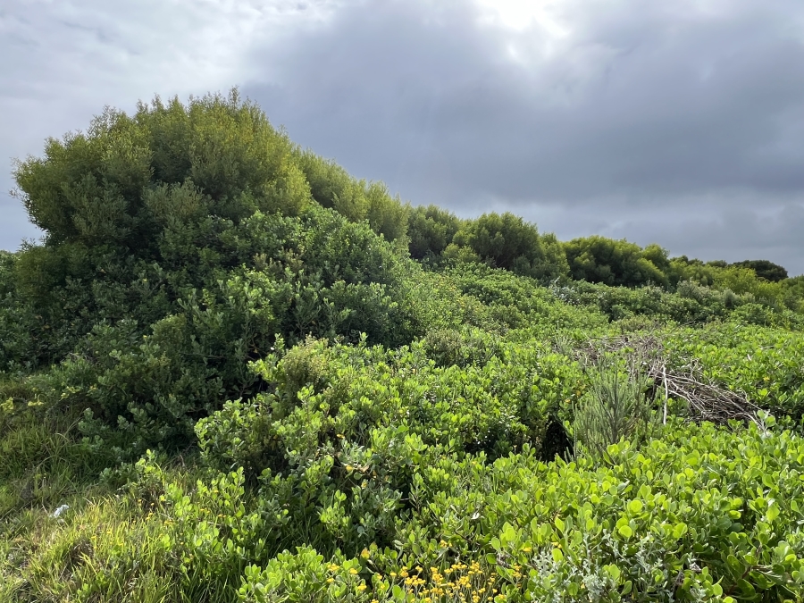 0 Bedroom Property for Sale in St Francis On Sea Phase I Eastern Cape